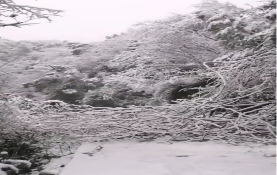 战暴雪、保供电！华体会网页版-华体会(中国)鸟儿巢公司应对极端天气紧急抢修失电故障